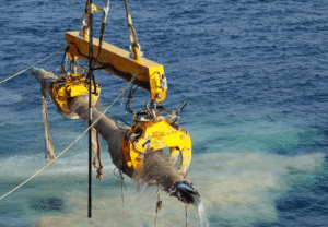 ROV Shackles Explained: How Smart Pin And Locking Designs Improve Reliability In Automated Subsea Operations
